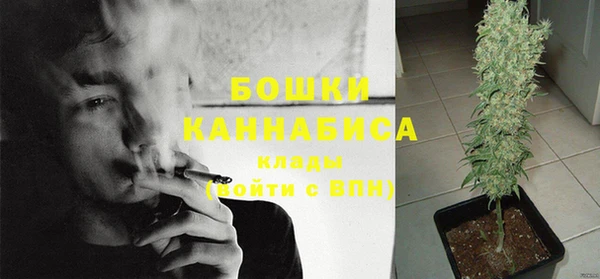 мдпв Инта