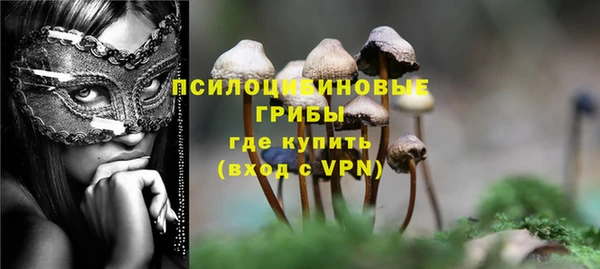 наркотики Инсар