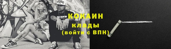 твердый Иннополис
