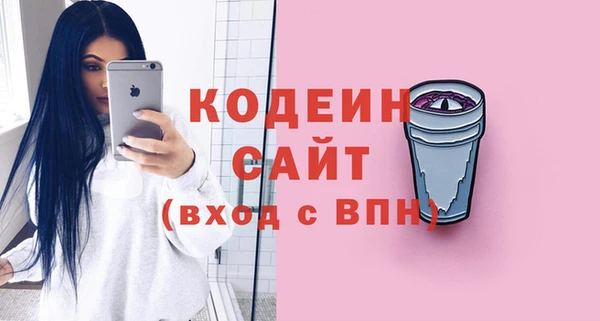 твердый Иннополис