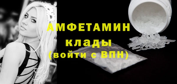 мдпв Инта
