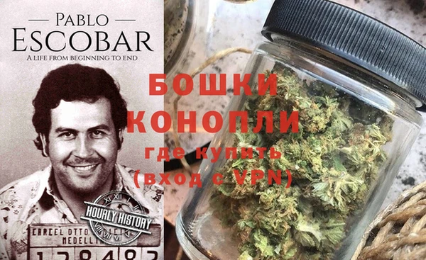 твердый Иннополис