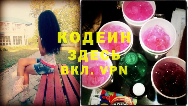 твердый Иннополис