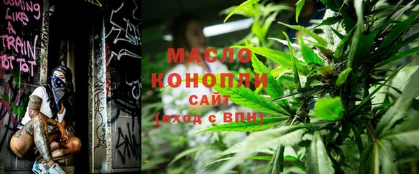 мдпв Инта