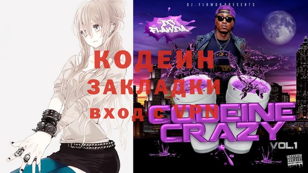 мдпв Инта