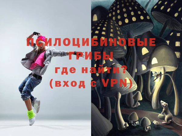 мдпв Инта