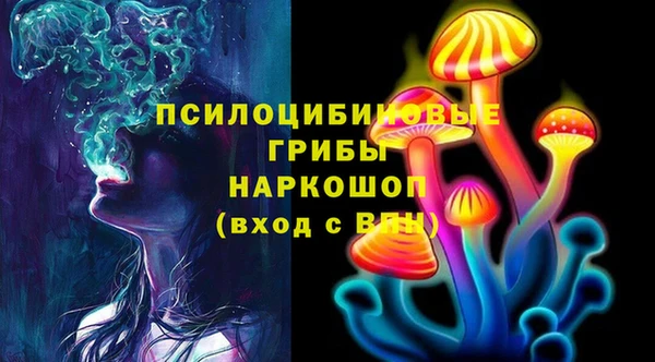 наркотики Инсар