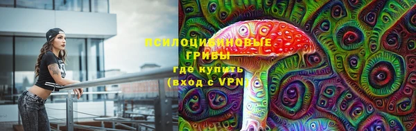 мдпв Инта