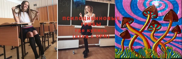 наркотики Инсар