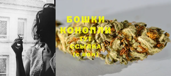 мдпв Инта