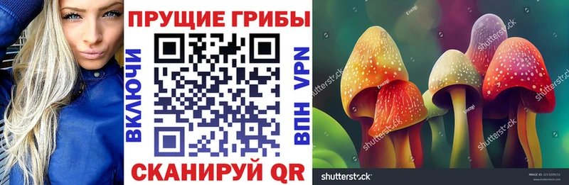 Купить где Североуральск Галлюциногенные грибы прущие грибы